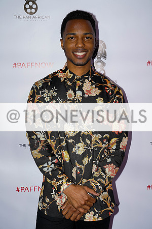 PAN-AFRICAN FILM FESTIVAL 2018