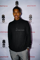PAN-AFRICAN FILM FESTIVAL 2018