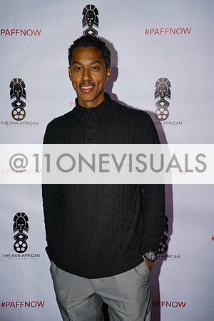 PAN-AFRICAN FILM FESTIVAL 2018